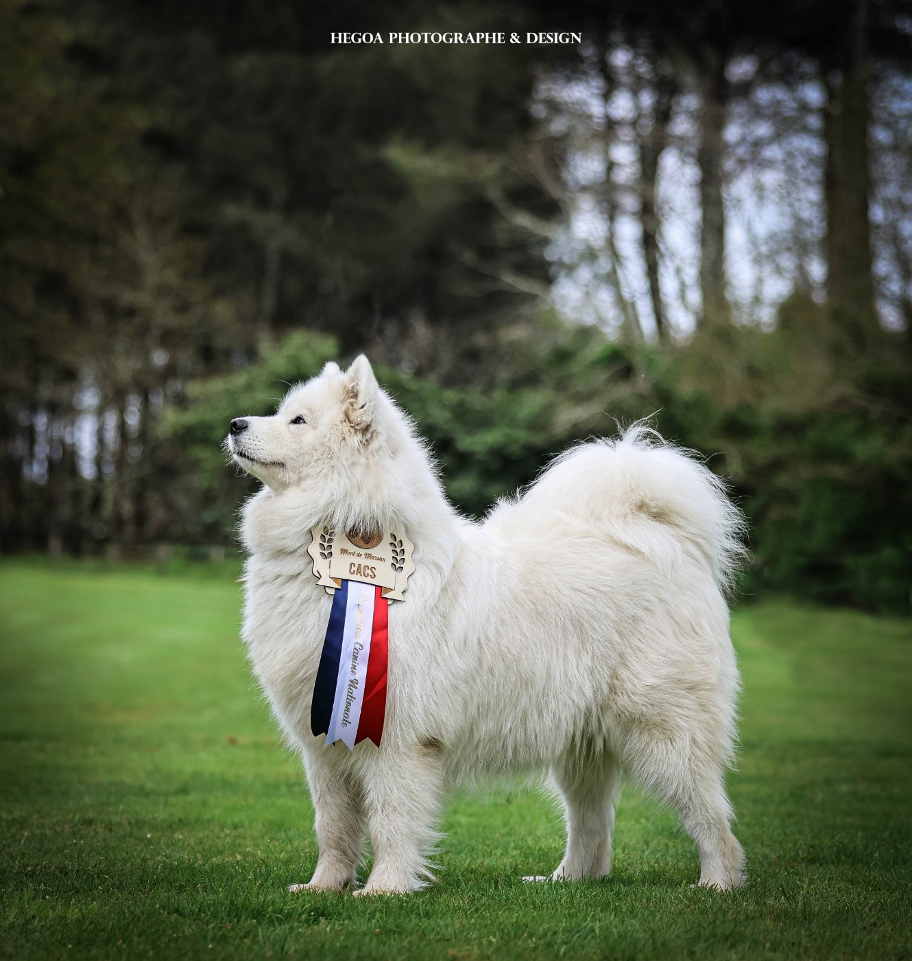 Tahiti dit alma Du Royaume Des Aussies